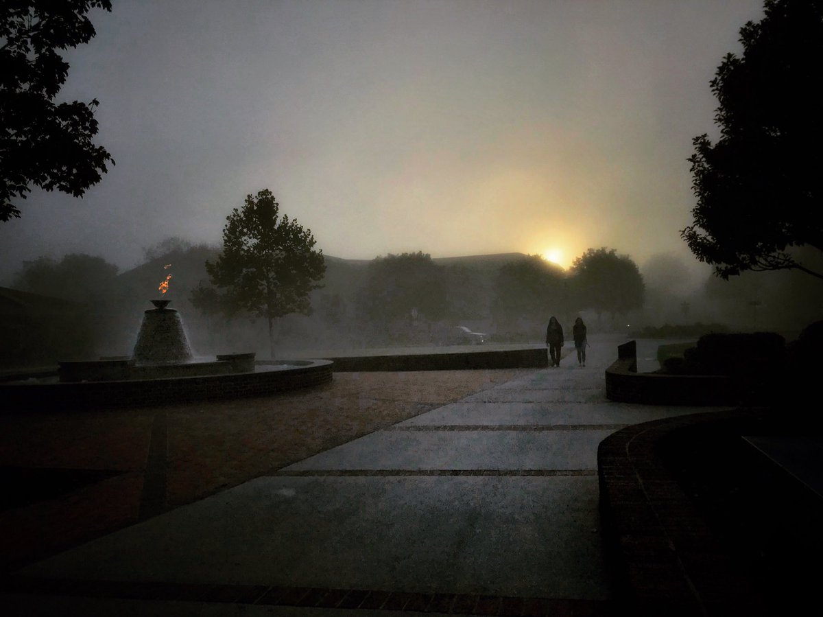 Meldenius's tweet photo. Autumn knocks @LeeU https://t.co/50bSJa3MyB
