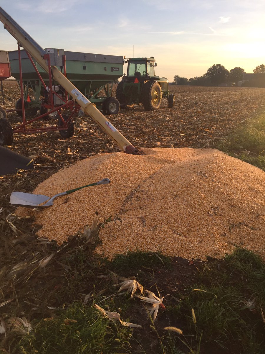 The door on the wagon is supposed to be shut <a href="/graincartguy/">Grain Cart Guy</a>  SHUT!