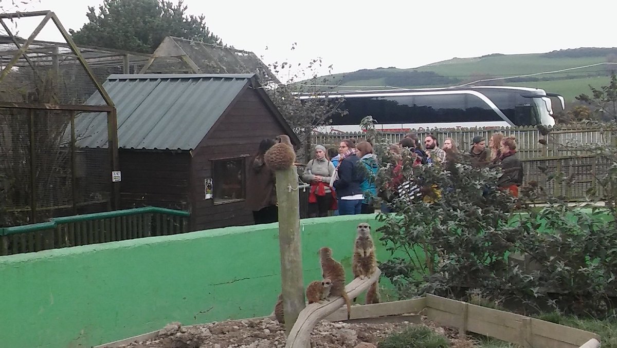 AberVetBio's tweet photo. Great time learning about the challenges of caring for exotic animals.  Many thanks to the staff @BorthZoo and @WVSCAber Vet Jon King https://t.co/iZyht5KFEG