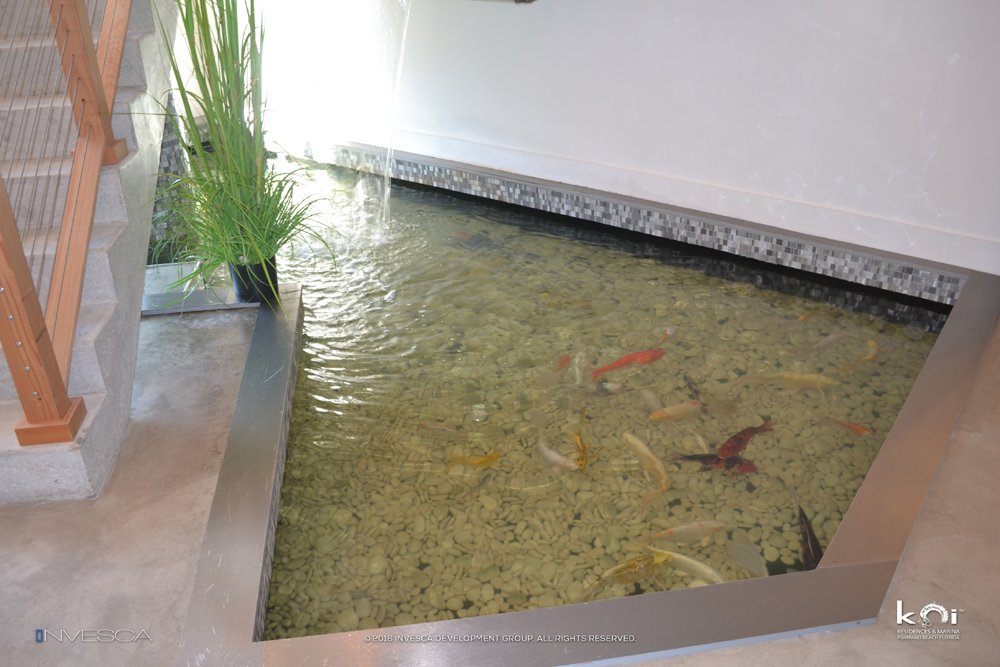 KoiPompanoBeach's tweet photo. Stop by our lovely koi fish pond when you visit the community center at Koi Residences &amp; Marina. #KoiResidencesandMarina #PompanoBeach https://t.co/sNyxUTJBpN