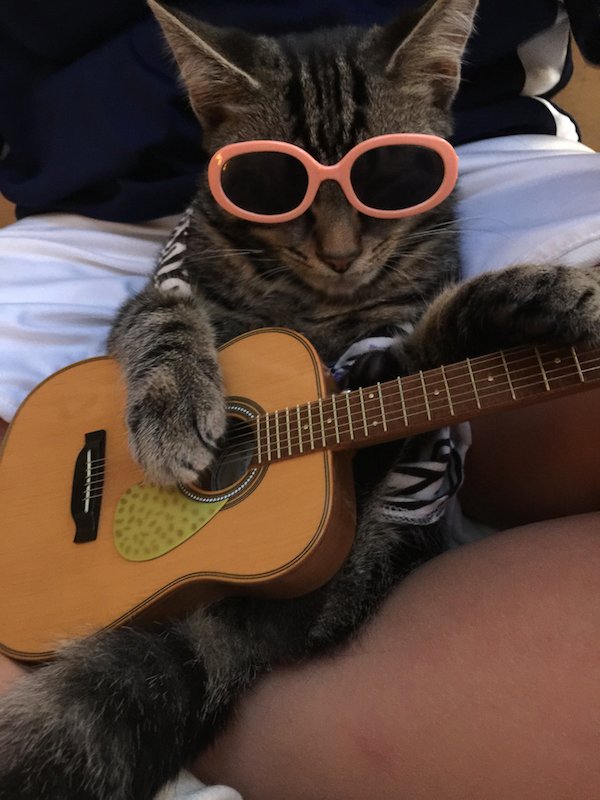 adminchiam's tweet image. Thanks John it's Friday!