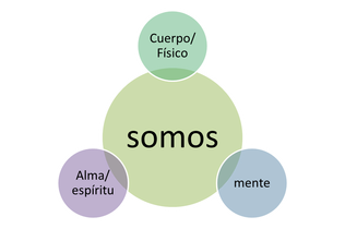 Naturconsciente (@naturconsciente) on Twitter photo 