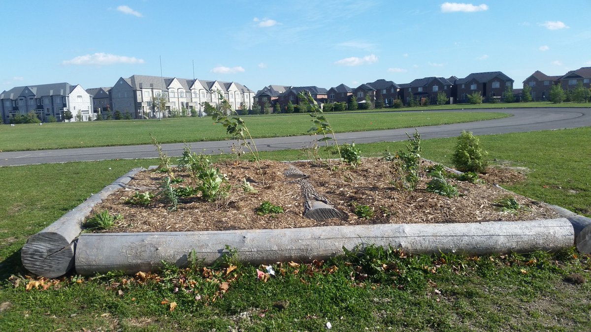 JNSS_EcoSchool's tweet photo. Some pics from our tour of Louise Arbour, guided by their formative Eco Squad! @PDSB_eco #PeelES101 https://t.co/LcYAEzZYTw