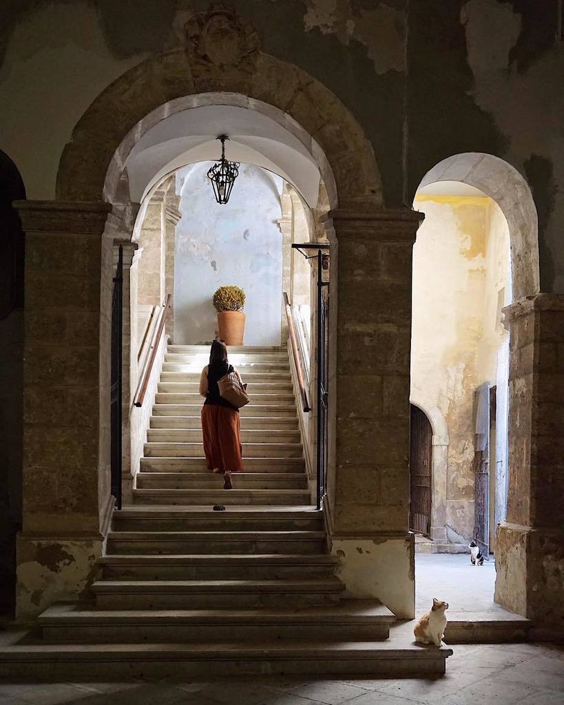 Alice_S__'s tweet photo. Tengo i giorni chiari, quelli scuri li rendo al destino... (Zsuzsa Bánk) https://t.co/KseIn6CwoU