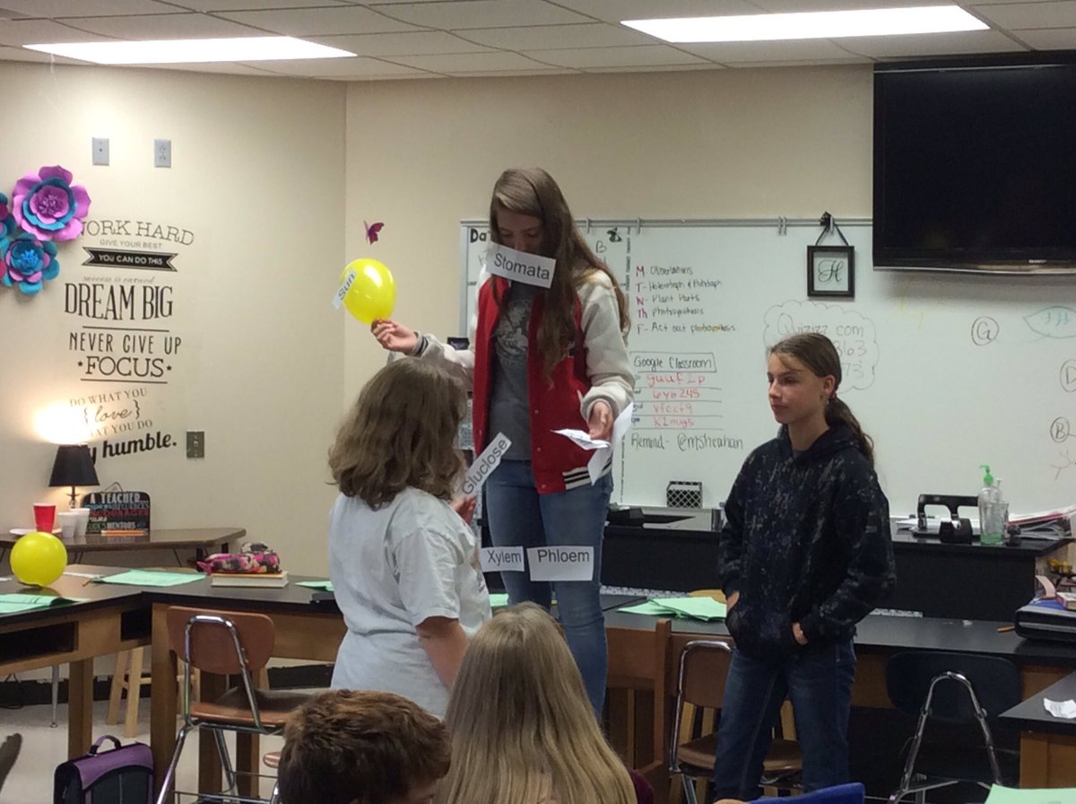 Mrs_Sheahan_'s tweet photo. Photosynthesis in action! #ESMSBestYearEver https://t.co/fM1hjNs27F