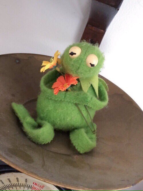 mingyundls's tweet photo. @minhyunndls how about i give you this flower instead https://t.co/YZVg0kQcup