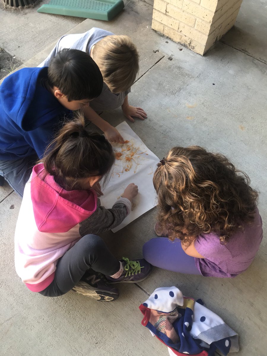 kinardmde's tweet photo. How many seeds are in the pumpkin? 🎃 #mdelem #Kindergarten #makingsets @mrsbrileskinder @Mrs_Wooten_MDE https://t.co/8sIirb3KmF