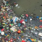 Plastik gefährdet Ökosystem der Ozeane, Tiere verenden grausam. Dr. Ralph Kadel zeigt Lösungen https://t.co/dJDbwq2FyL #Umweltverschmutzung 