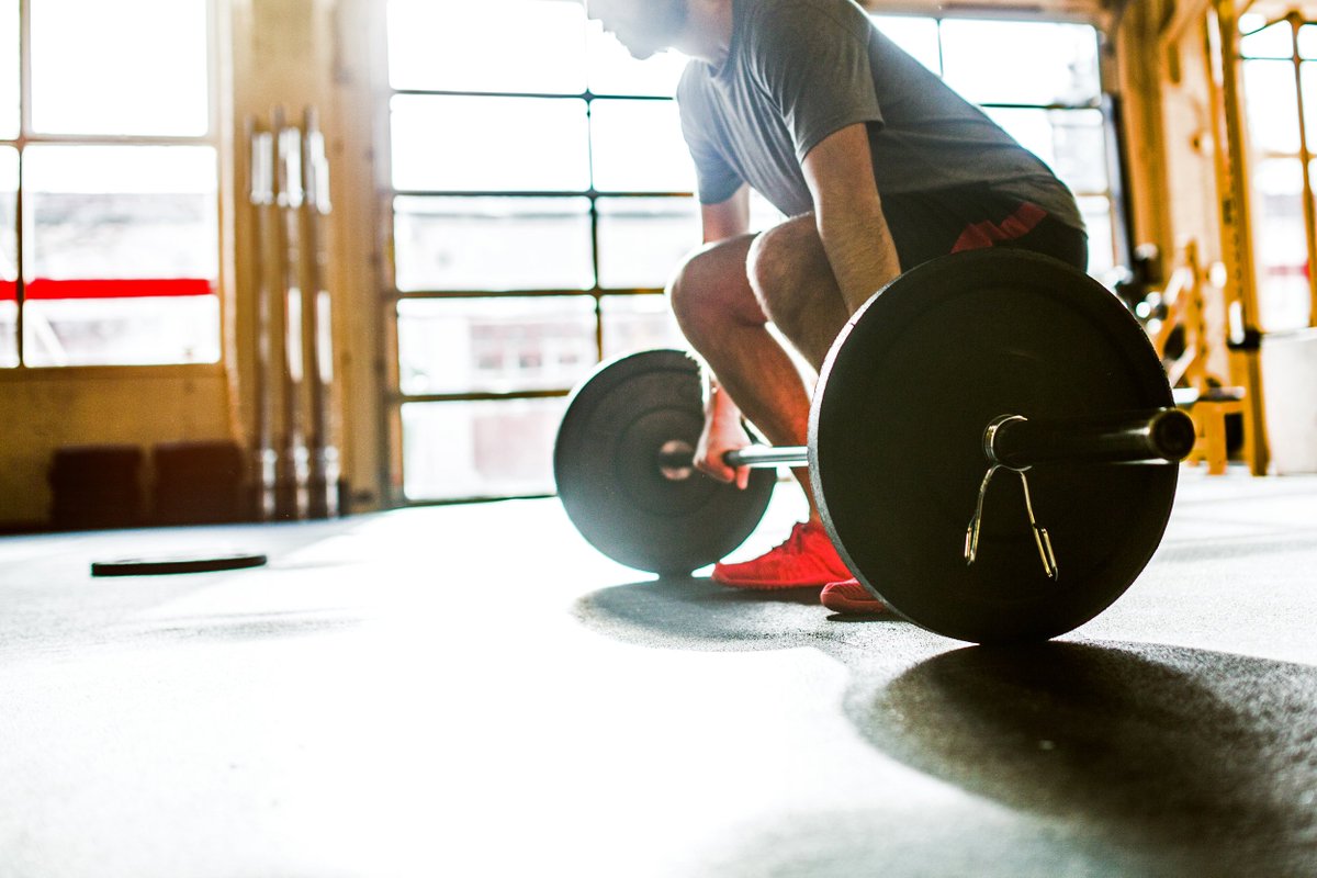 FitnessHacks101 tweet media