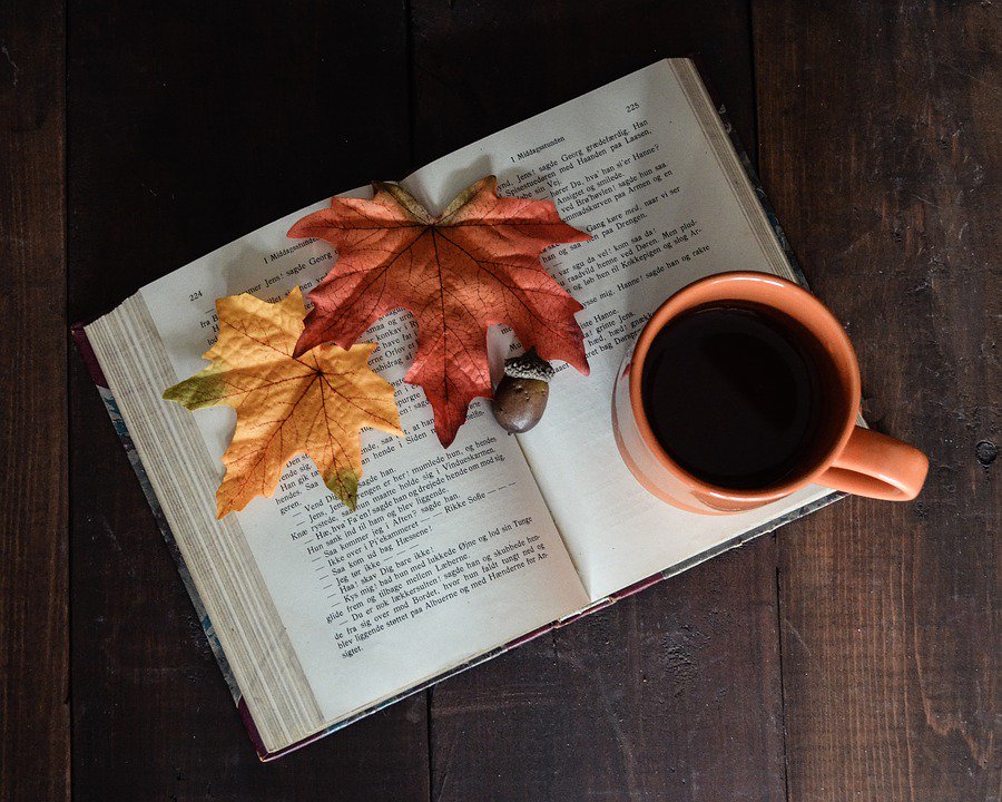 Bloggerportal's tweet photo. Es herbstet draußen so schön!🍂🌞Seid Ihr auch schon im Wochenendmodus? #ichlese #Bücher https://t.co/Psz8bLSM26
