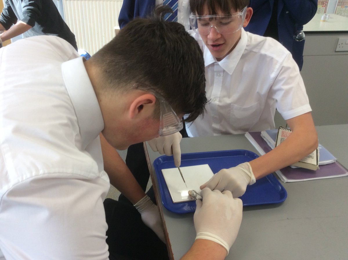 Ebor_F_Science's tweet photo. @ebor_filey Year 11 Science, eyeball dissection after lunch on a Friday, Nice!!!! #brave  #proud https://t.co/hkc3S1v69R