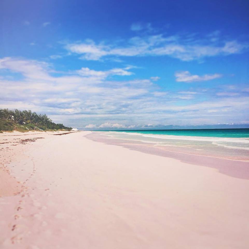 Boat4aday's tweet photo. Today we #wearitpink! With love from #HarbourIsland, The #Bahamas!
#PinkSand #BreastCancerAwarenessMonth https://t.co/zsbK0LXyKy