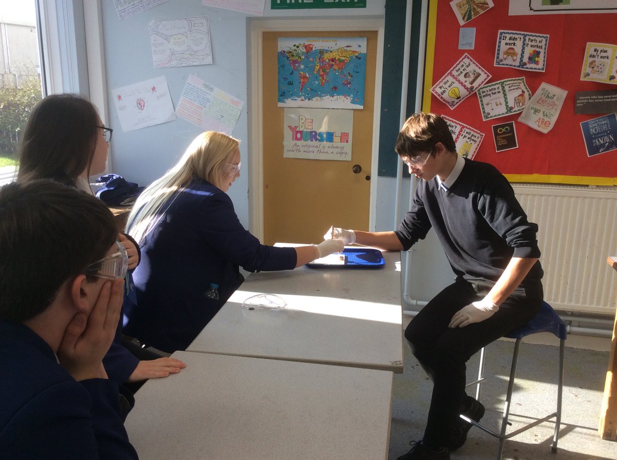 Ebor_F_Science's tweet photo. @ebor_filey Year 11 Science, eyeball dissection on a Friday after lunch, Nice! #brave #proud https://t.co/CRAzuuBSuP