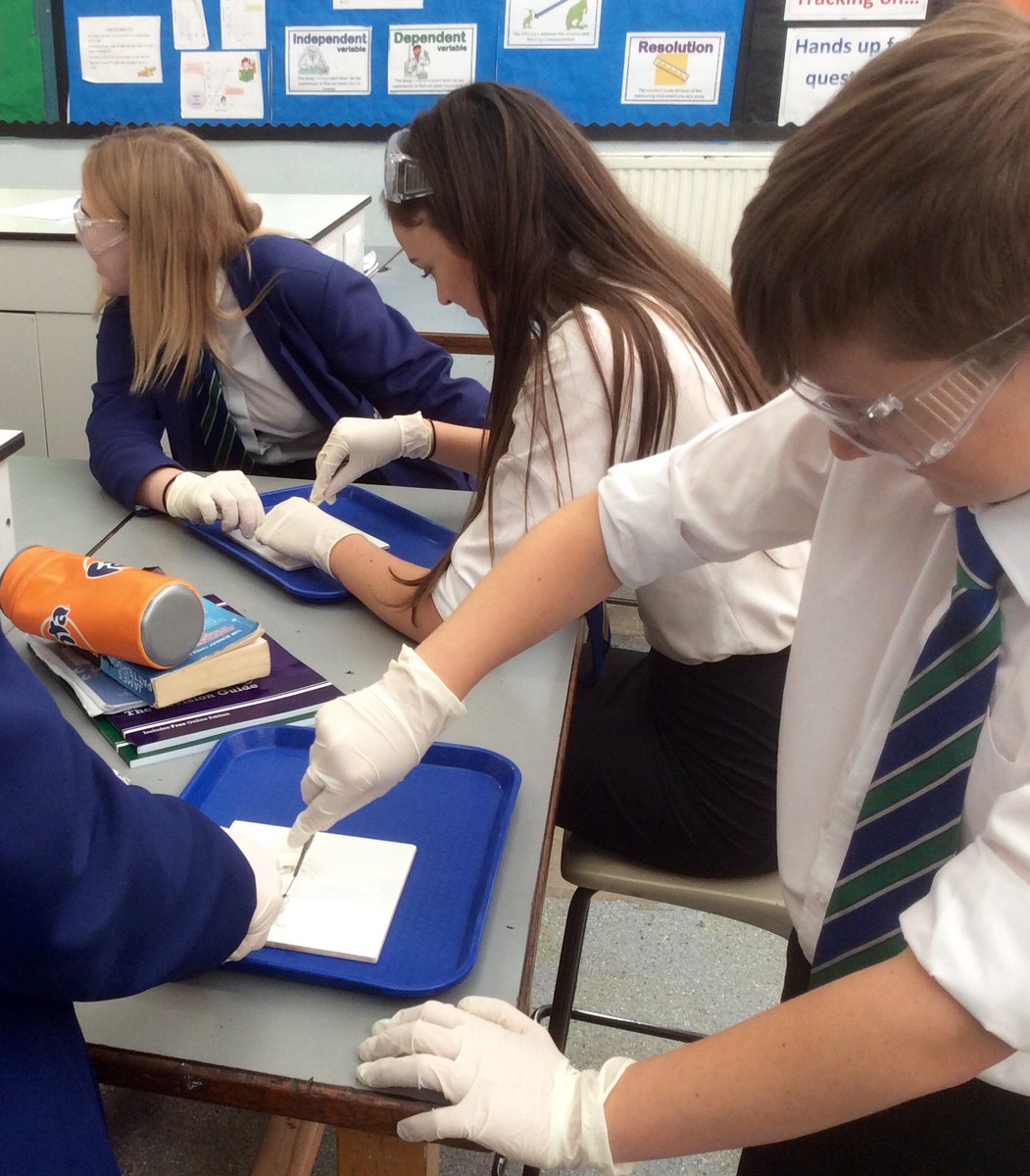 Ebor_F_Science's tweet photo. @ebor_filey Year 11 Science, eyeball dissection on a Friday after lunch, Nice! #brave #proud https://t.co/CRAzuuBSuP