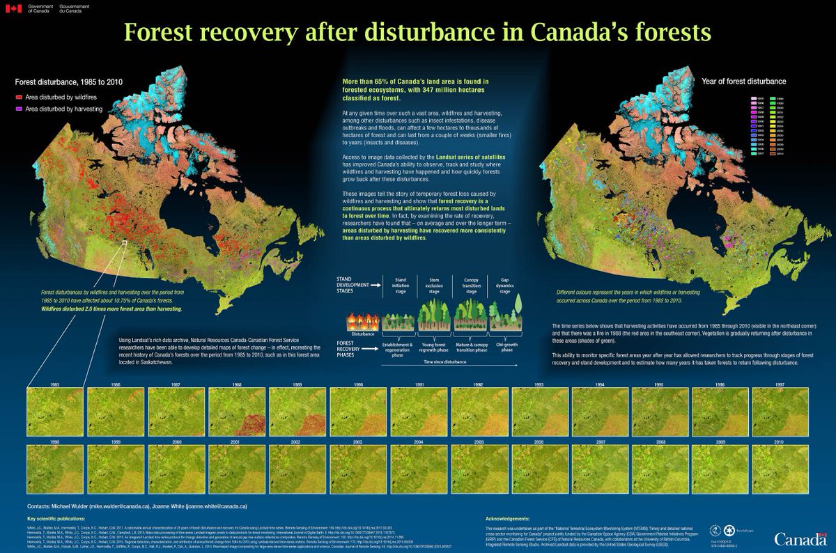 mikewulder's tweet photo. Have a plotter?  Print this! Beauty new poster describing:
#Forestrecovery after disturbance in #Canada's #forests.
https://t.co/JFqojSSUVU https://t.co/jL4mivedr8
