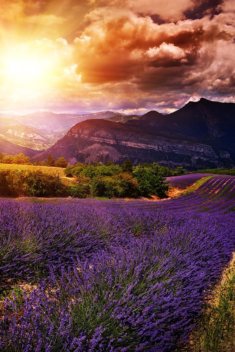 LucaRossi369's tweet image. Qual è la prima parola che vi viene in mente guardando questo scatto?