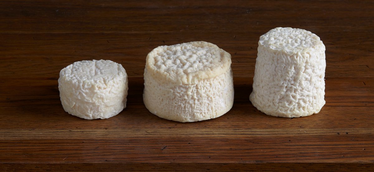 FromDeChevre's tweet photo. A prévoir ce week-end : une petite pause au #fromage de #chèvre...#crottin #chavignol #AOP #chevrot #chabichou du #Poitou #AOP https://t.co/gqmwkdqWlJ