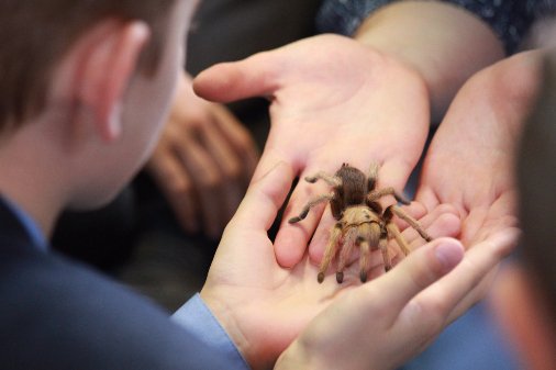 WhitgiftSchool1's tweet photo. #Whitgift #animalclub wishes their 4/6/8 legged friends a happy break over half term. #learningandcaring #whitgiftwildlife https://t.co/qk3BmTh4S1