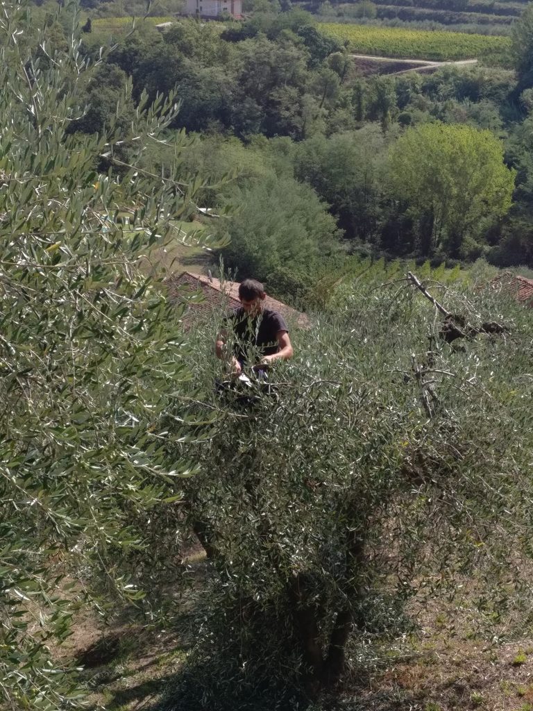 italiaslowtour's tweet photo. "Our first day out started with a short ride learning to ride #TheItalianWay" 
Read tha #traveldiary by Kim Harding: https://t.co/p7kq9GdeY4 https://t.co/wT9rA4rM2y