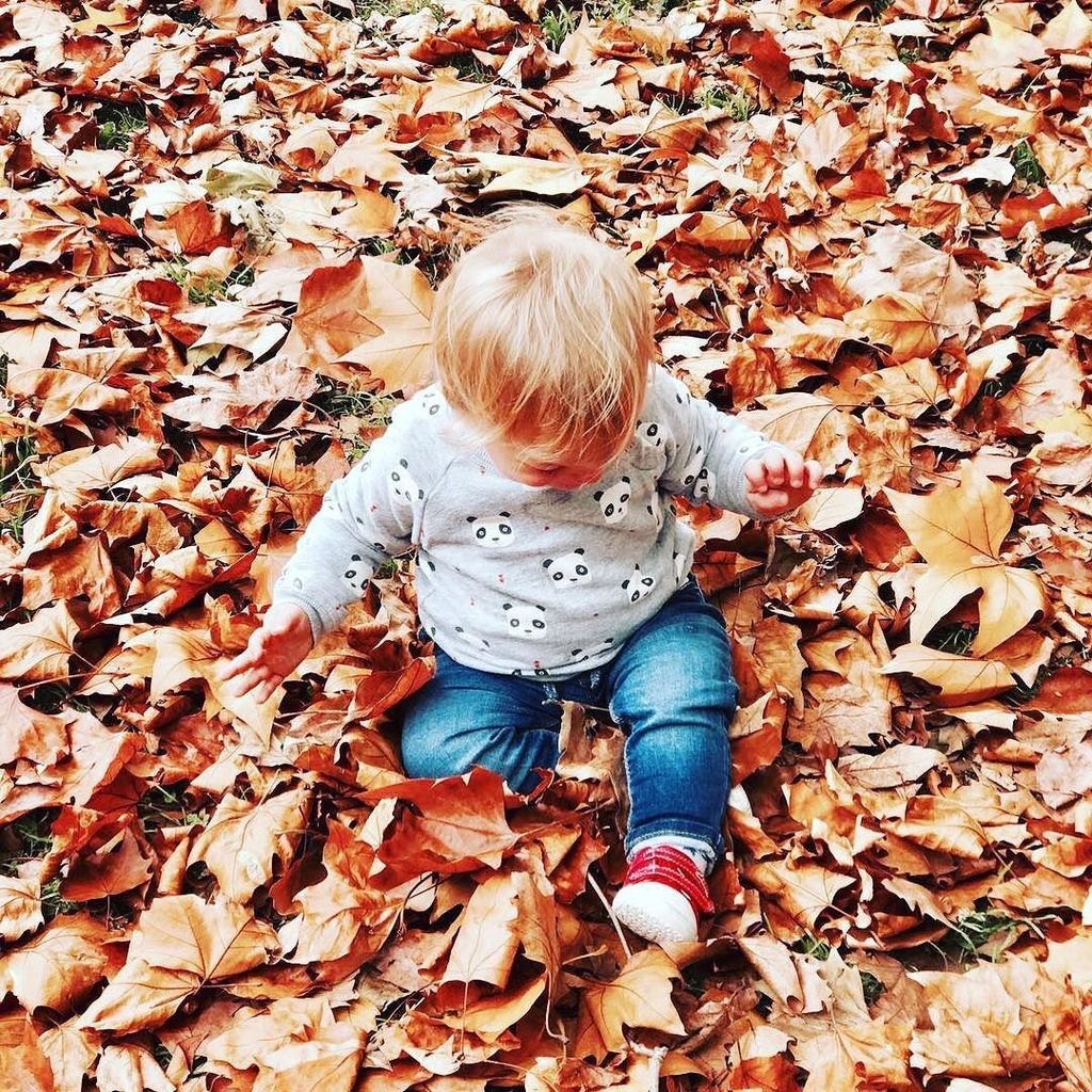 What #Autumn is made for!  #HFH