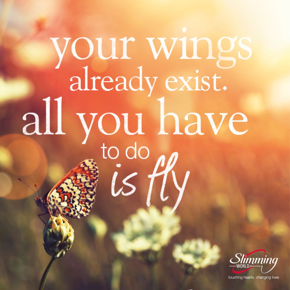 SlimmingWorld's tweet photo. Who helps you find your wings on your #weightlossjourney? Tag your slimming sidekick and share your #FriendshipFriday pics with us! https://t.co/3HhrtQoBpH