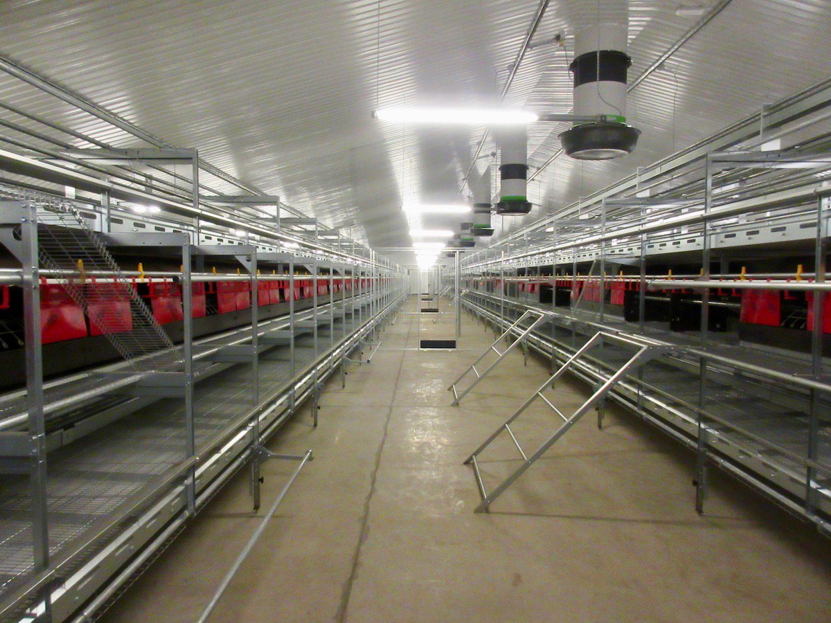 Finishing touches and the site will be ready for open day next week and birds next month #eggs #poultry #Herefordshire