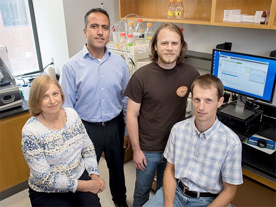 themixuab's tweet photo. Last unknown structure of HIV-1 solved, another step in efforts to disarm the AIDS virus https://t.co/Gn4IFjSrdR https://t.co/mvEIPQz5WB