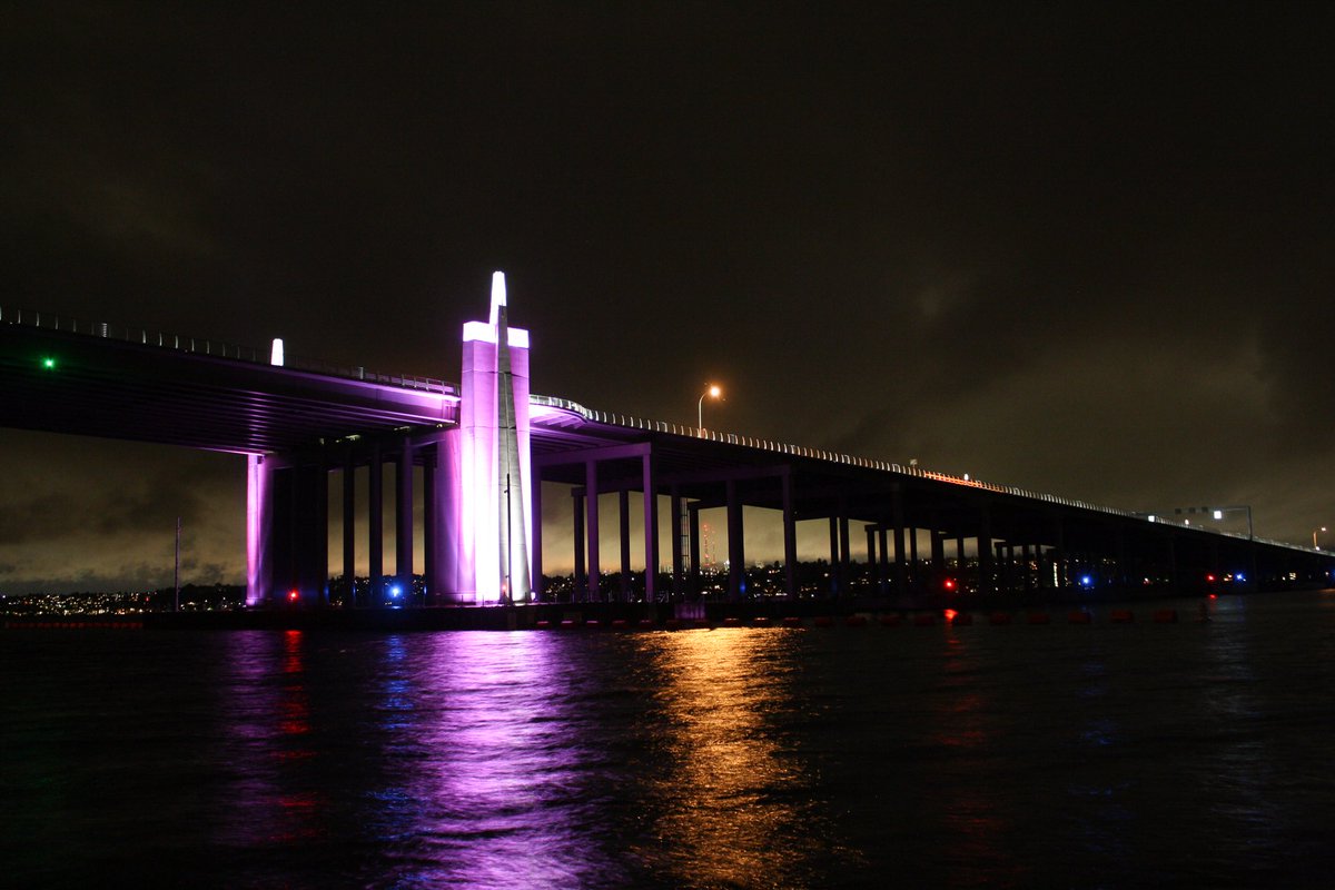 wsdot_520's tweet photo. This week we’re showing our support for #BreastCancerAwareness by turning the SR 520 sentinels pink. https://t.co/hUeYb7Dhgj