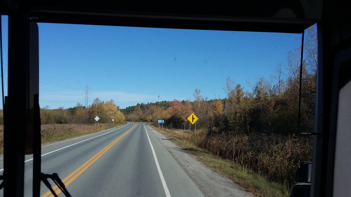 Cécile Saint-Marc tweet media