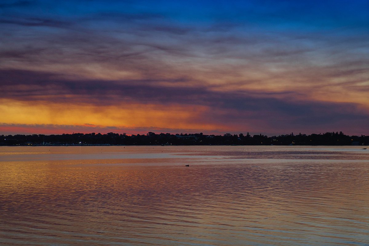 tad_graphics's tweet photo. Two dolphins made watching tonight's #Perth sunset all the more special #justanotherdayinWA @WestAustralia @hello_perth https://t.co/c08Dd0uT9I
