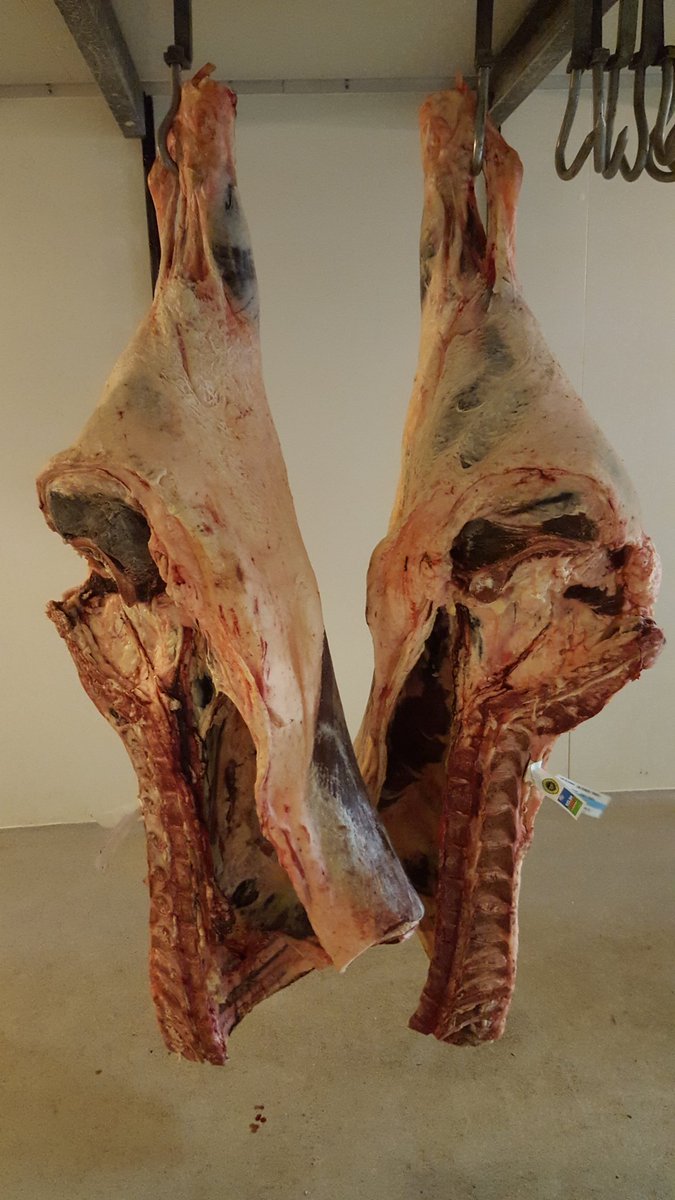 butcherboy0's tweet photo. Another week until i cut into this #welshblack #butcher https://t.co/LcjjyUOAls