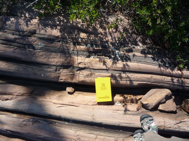 MicroEarthSci's tweet photo. #ShearZoneSaturday Georgian Bay, Ontario, Canada https://t.co/wpydkDegwL