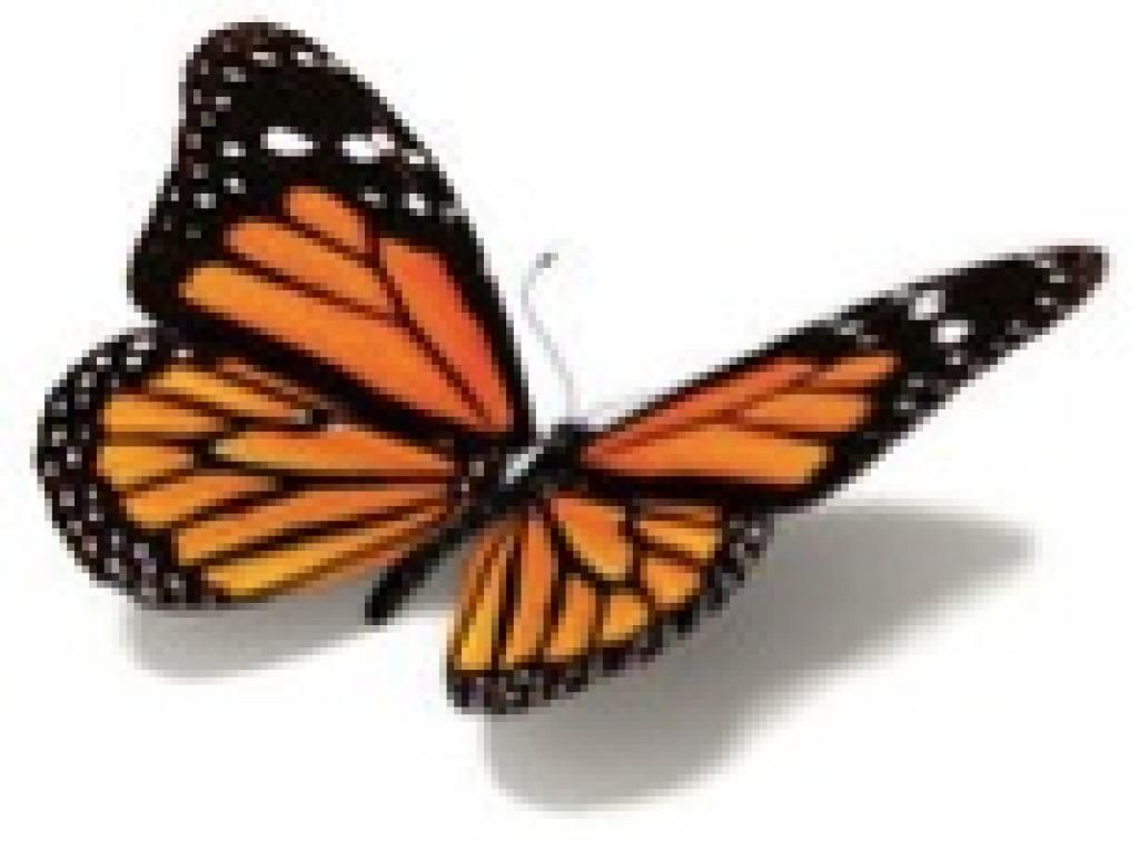aublogging's tweet photo. Hornets and Butterflies: How to reduce workload | @joe__kirby https://t.co/Ap7mlmhSLl https://t.co/xLxcYOhX5h