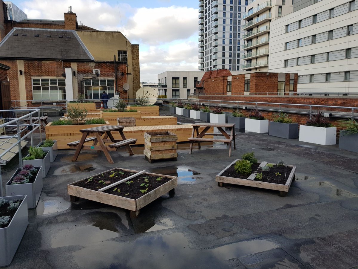 JimQ2's tweet photo. The @GreenLondonMet roof garden @LondonMetUni @TheCassArt #Algate is looking great! https://t.co/oQeVqcjmBe