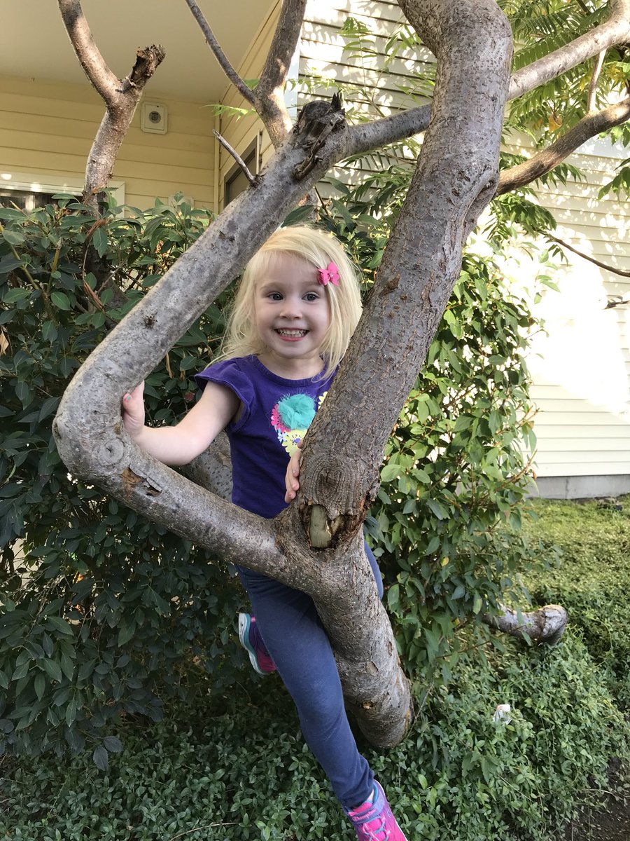 TheoBoyles's tweet photo. Shameless proud daddy post. She is too cute. https://t.co/JDsoqBFZlD