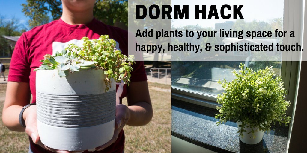 IUHousing's tweet photo. #DormHack: Prove you can "adult" AND perk up your living space! https://t.co/mwdFZE4Iya
