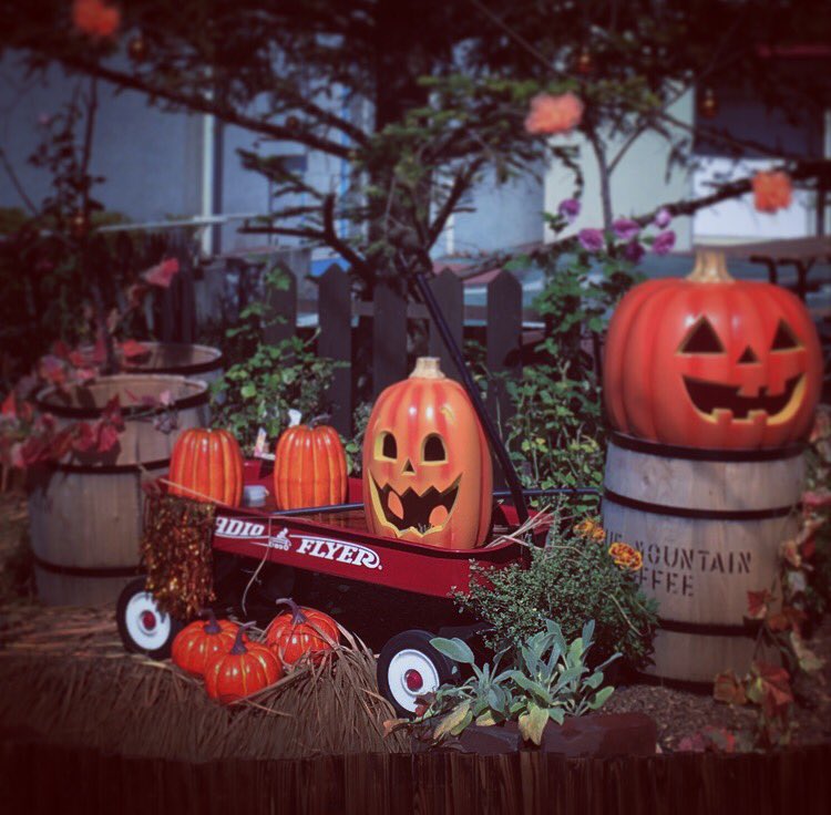 0215_choco's tweet photo. 西武園ゆうえんちにハロウィン🎃#ハロウィン #カボチャ #オレンジ 西入り口にありました🎃 https://t.co/LQp6xXgRzG