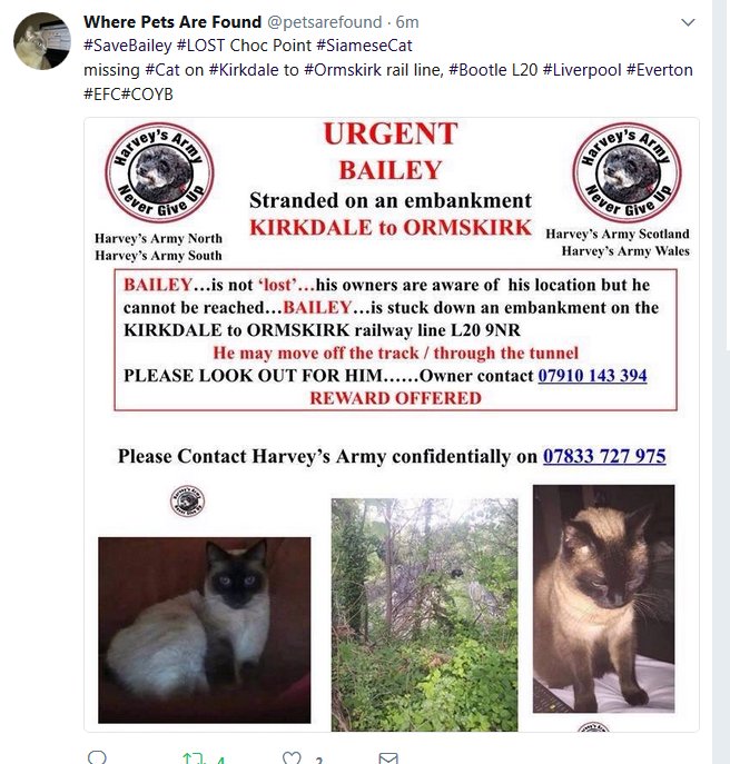 PLEASE KEEP SHARING EVERYONE THIS IS MEGGA URGENT! PLEASE RT THIS URGENTLY FIND BAILEY NOW PLEASE OWNERS DESPERATE!!! <a href="/petsarefound/">Where Pets Are Found</a> RT RT!!