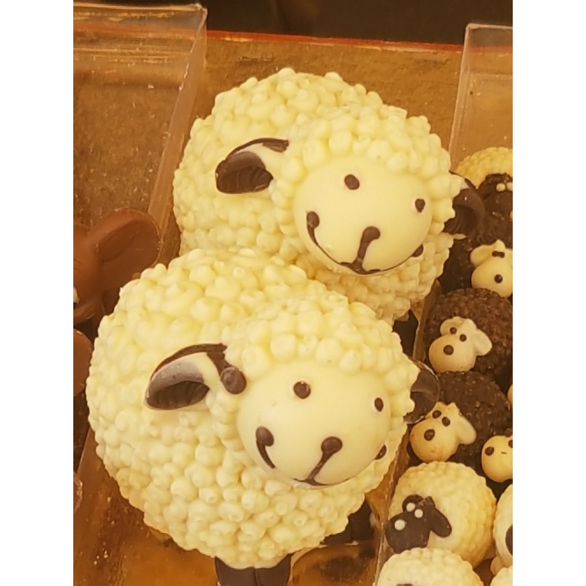 adefrancesco67's tweet photo. È l'ora della merenda ... pecorelle di cioccolata bianca
#chocolate #chocolatelovers #chocoexperience #food https://t.co/FMXvS0L2MD