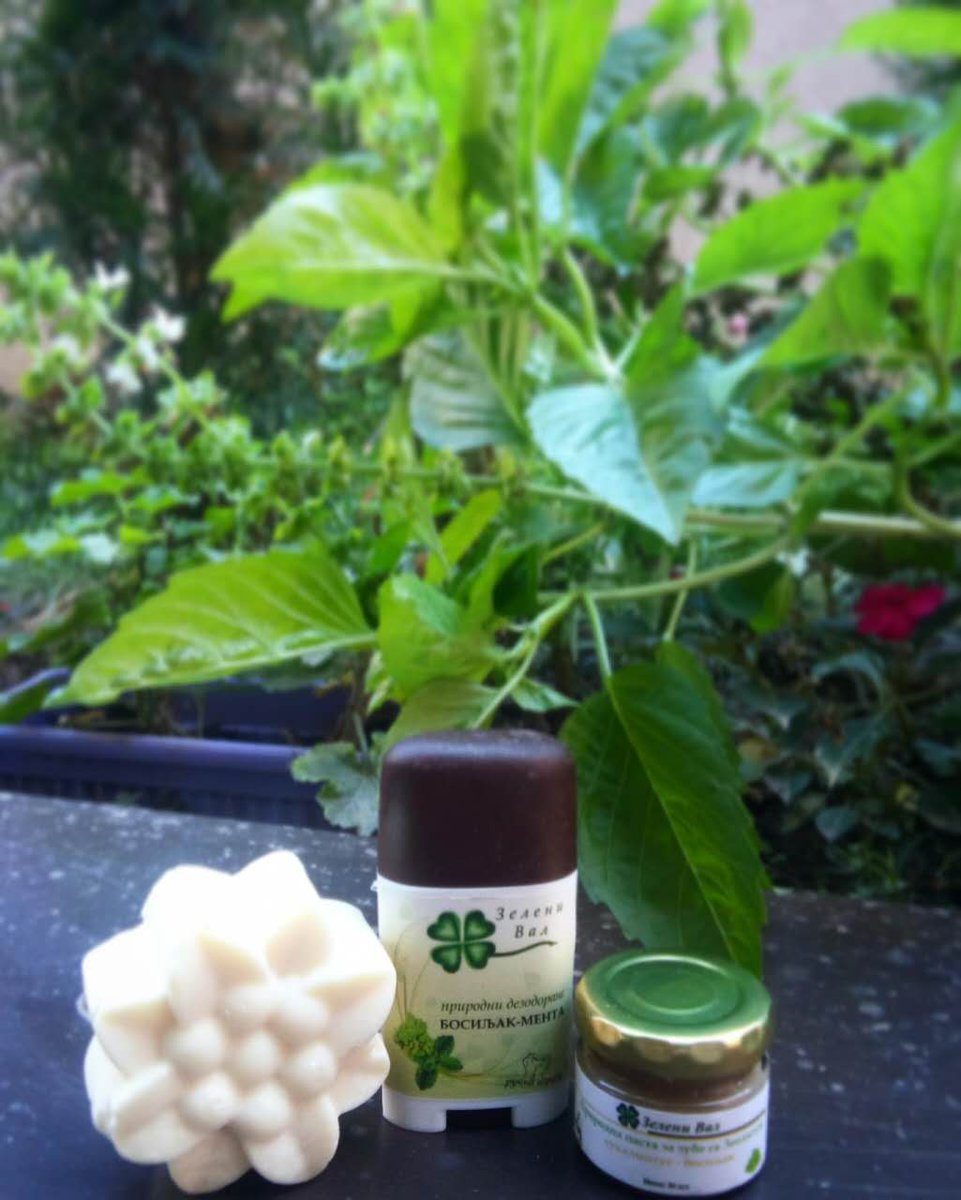zelenival8's tweet photo. Zeleni set #Bosiljak 🌿- Božanski moćan 💚#ZeleniVal🍀 #prirodno #nature #organic #organski #ekoloski #eco #rucnaizrada #handmade #cosmetics #basil #mint #eucaliptus #vegan #vegeterian #naturalcosmetics #bosiljak #menta #eukaliptus #green #AnimalCrueltyFree https://t.co/YJao8RU5dy