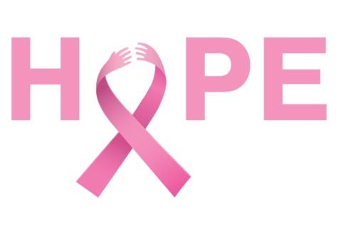 South is having a Pink Out! today. Thanks <a href="/StuCoSMS25/">SMS Student Council</a> for organizing!