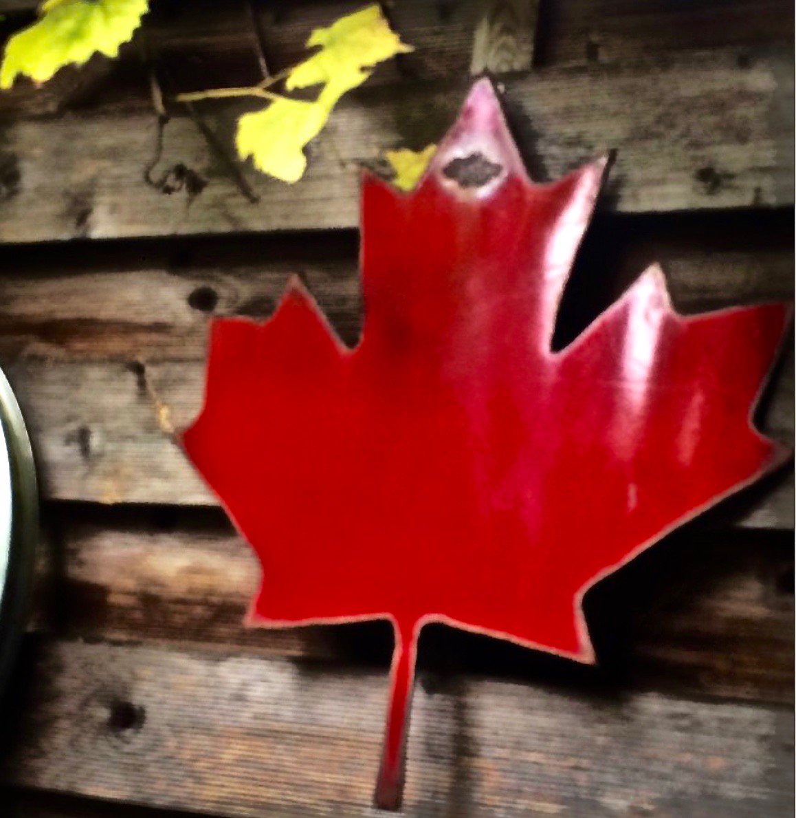 KevinBrauch's tweet photo. T.G.I.F. #ProudCanadian @GFWE CHEERS! @ThirstyTwist https://t.co/9NYixMtTTZ