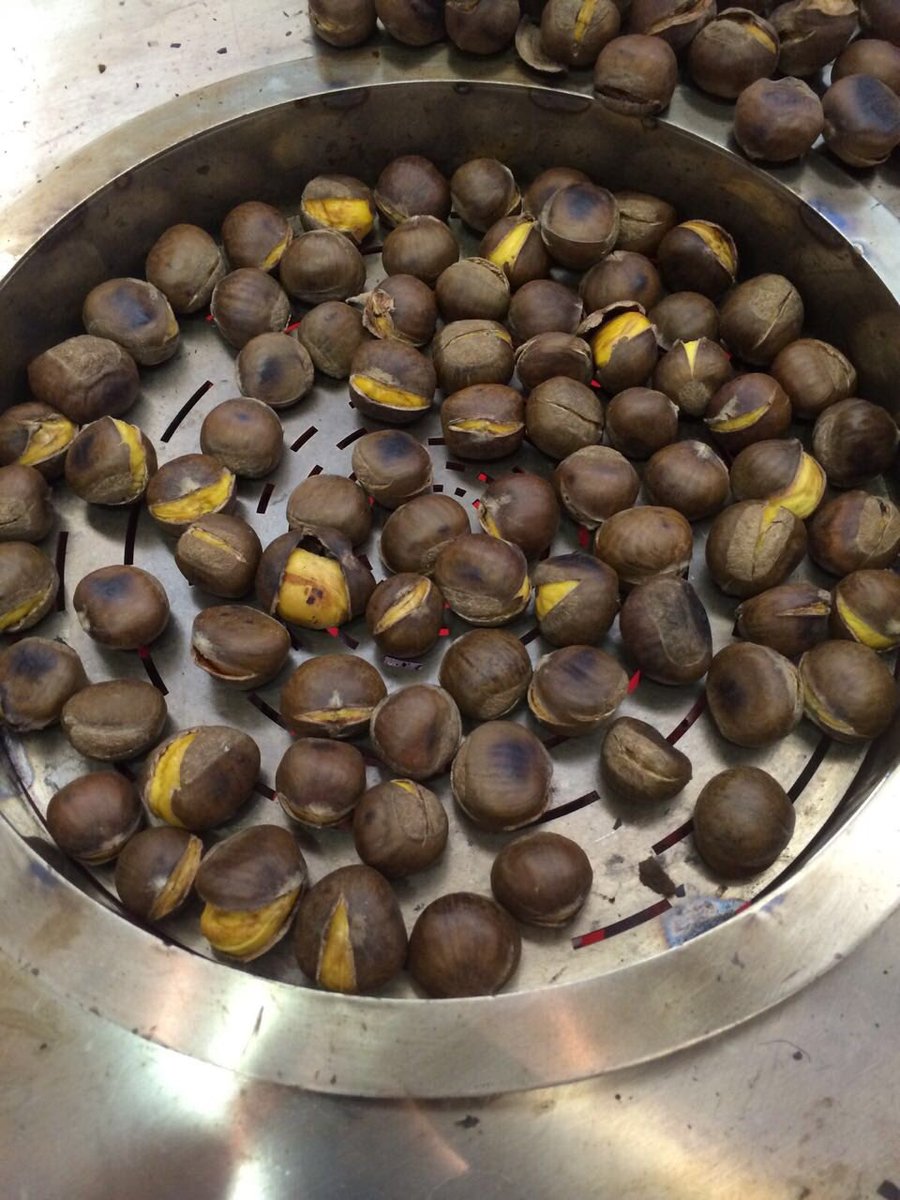 goOrchardDirect's tweet photo. Baby chestnuts in Europe. https://t.co/PO3WOZEeT2