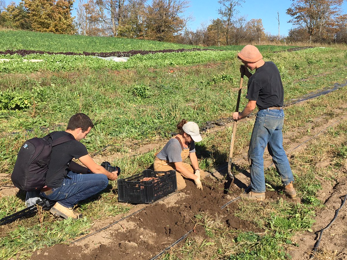 FarmBoyProd's tweet photo. Visited an #Organic #CSA #Produce &amp; #Livestock #farm near Owen Sound, #ON this week to film video about #FoodSafety Program #GrowingForward2 https://t.co/o8tvU8ftay