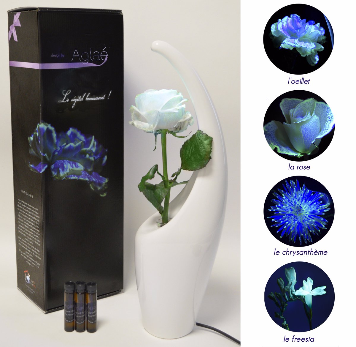 Commandez votre première fleur luminescente en exclusivité dés noël !