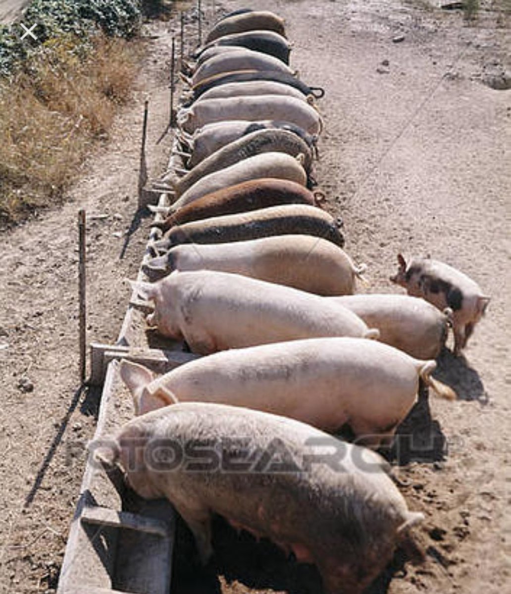 The media's due diligence.