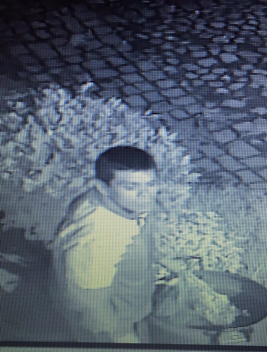 ursulacamba's tweet photo. Si alguien lo reconoce, por favor, denúncielo. 5 robos a mi casa en 4 meses, ya están las denuncias @RoyCampos @brozoxmiswebs @hiramalmeidae https://t.co/cKYCm1fPGm