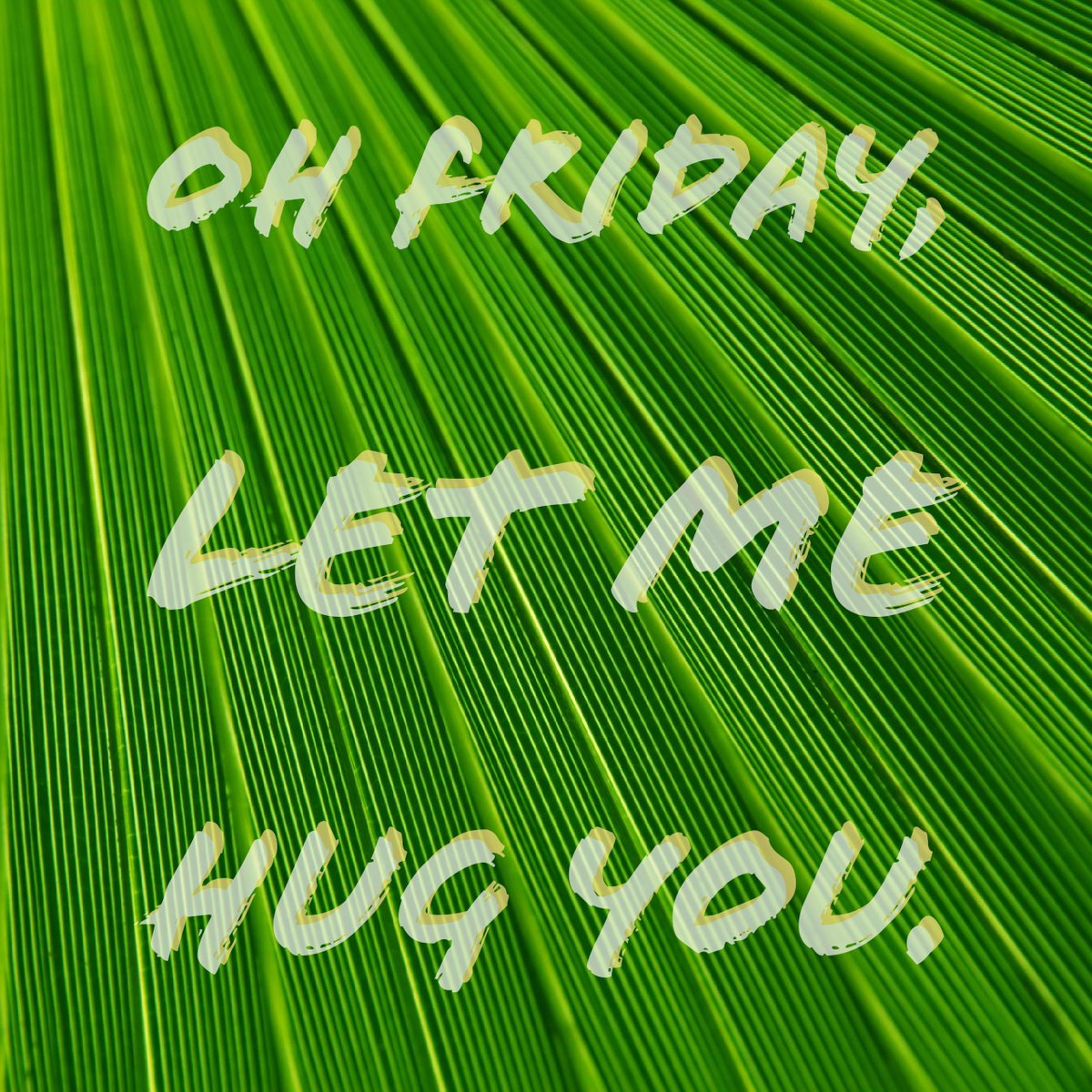 GobieGreat's tweet photo. Oh Friday, let me hug you.

#TGIF #HappyFriday #GobieGreat https://t.co/3XfkPcxls3