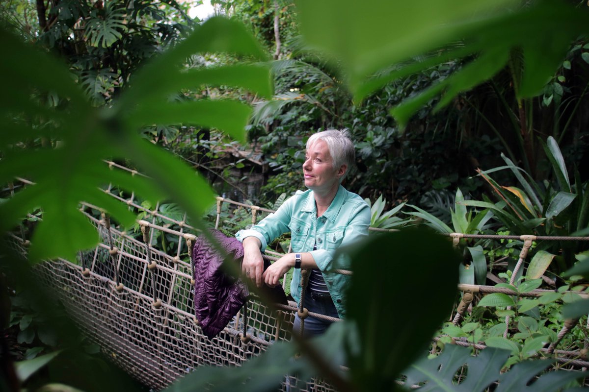 Ute Wolf tweet media