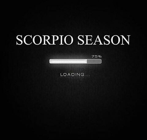 ScorpioSeason's tweet photo. #ScorpioSeason... now loading 🦂♏️🙌 https://t.co/klxZyqzN1K